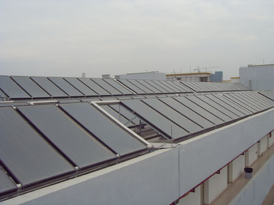 1734080898195871.jpg 1.jpg